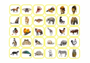 Animals through a magnifying glass - Image 3
