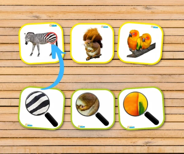Animals through a magnifying glass