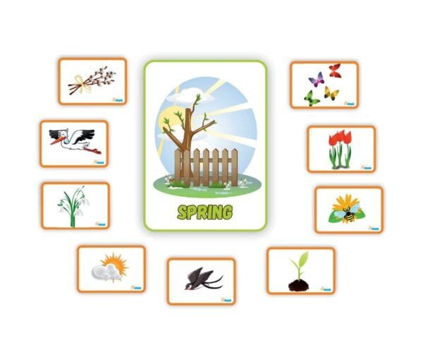Educational tool seasons of the year