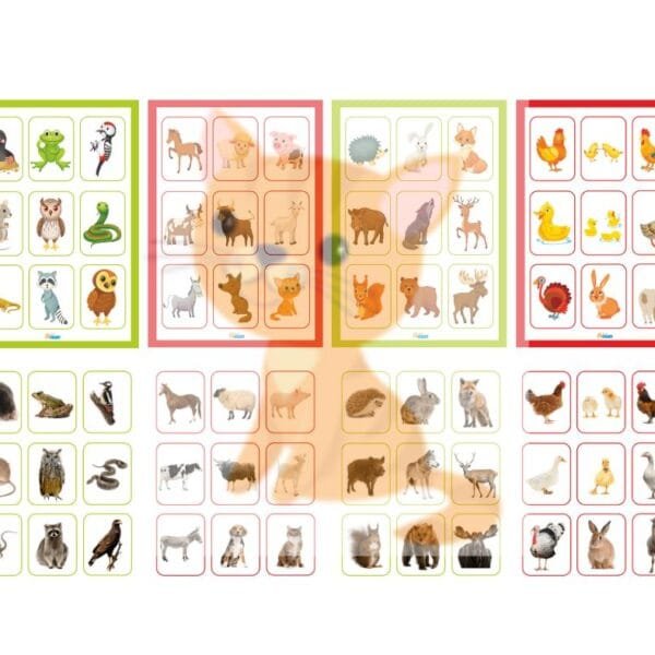 lotto-domestic-wild-animals-1