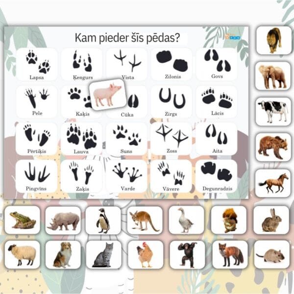 Kam pieder šīs pēdas?