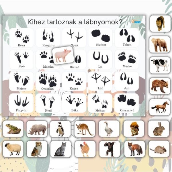 Kihez tartoznak a lábnyomok