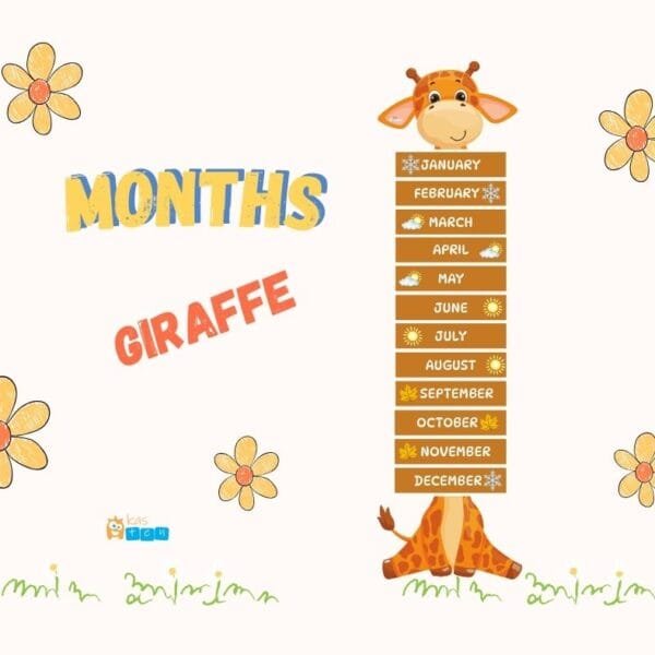 Months – Giraffe