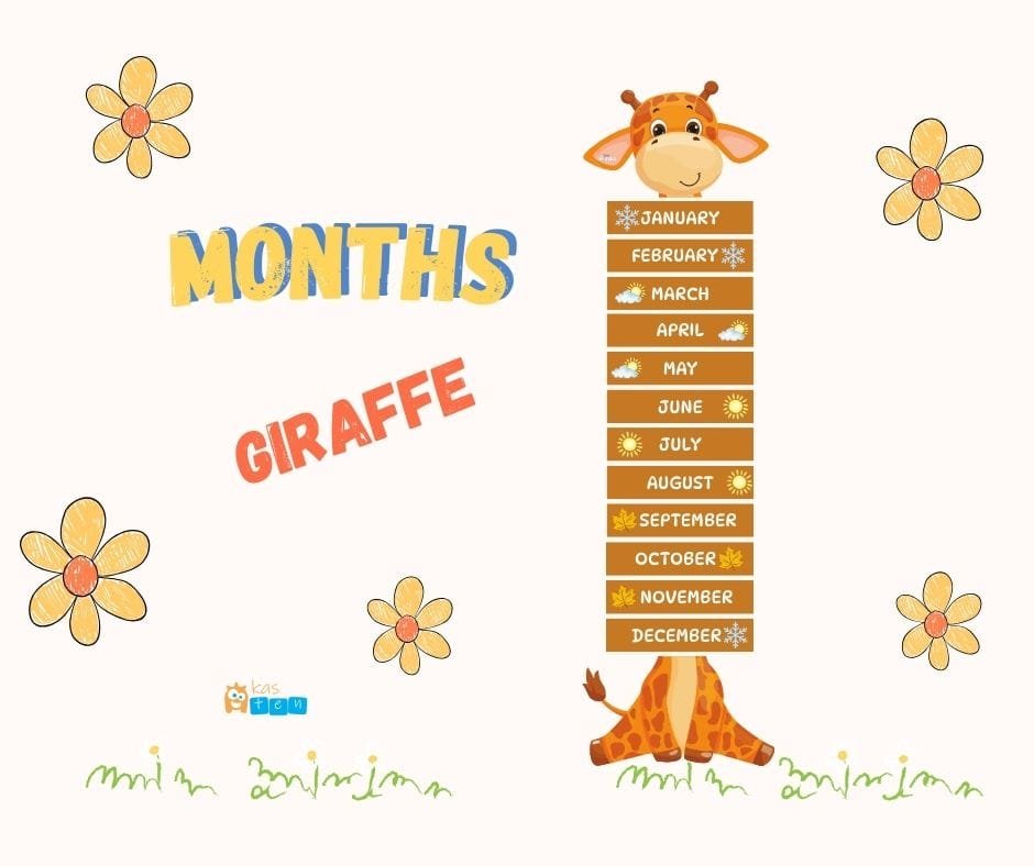 Months – Giraffe