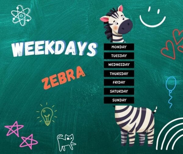 Zebra Tuesday Weekdays – Zebra – KasTenKidz