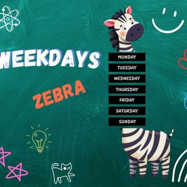 Weekdays – Zebra