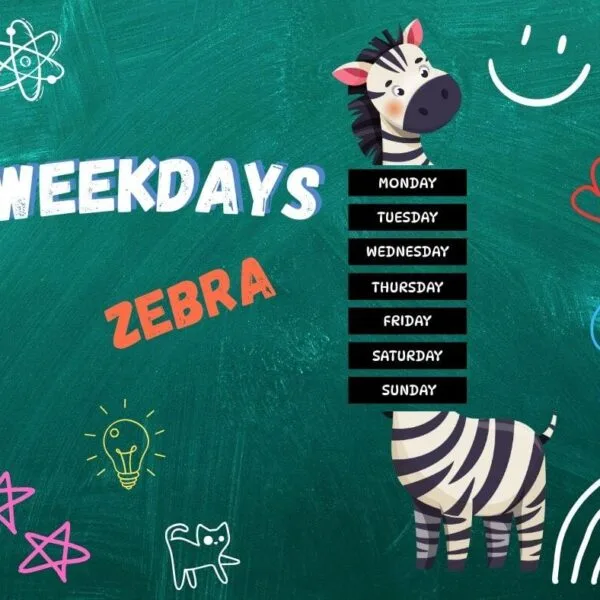 Weekdays – Zebra