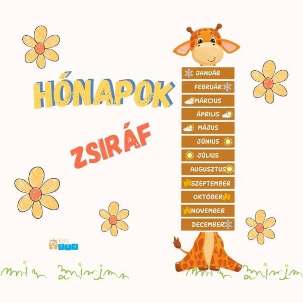 Zsiráf – Hónapok