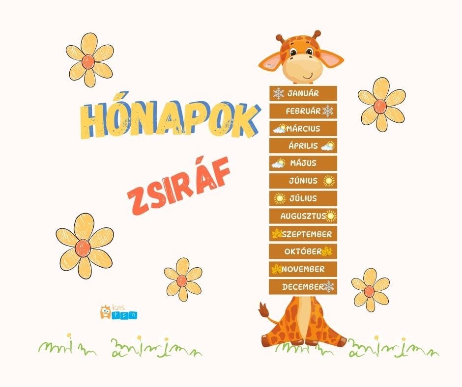 Zsiráf – Hónapok