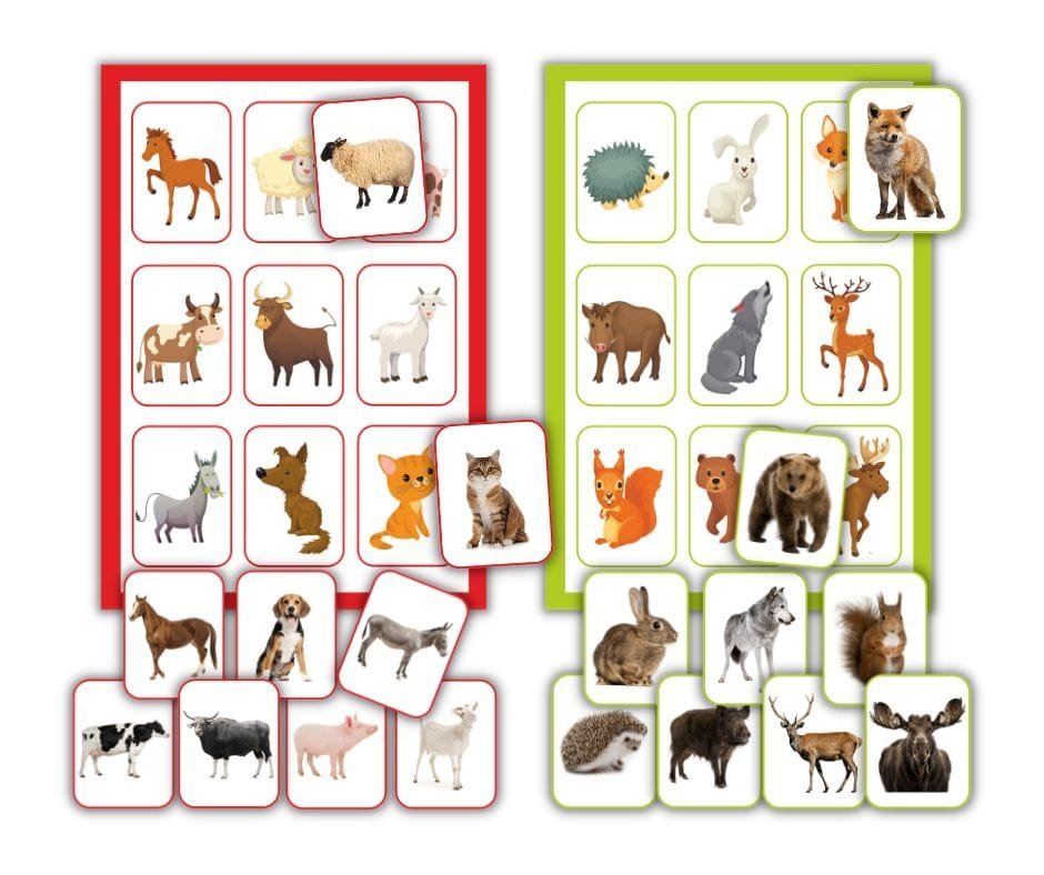 Lotto "Animale domestice și sălbatice "